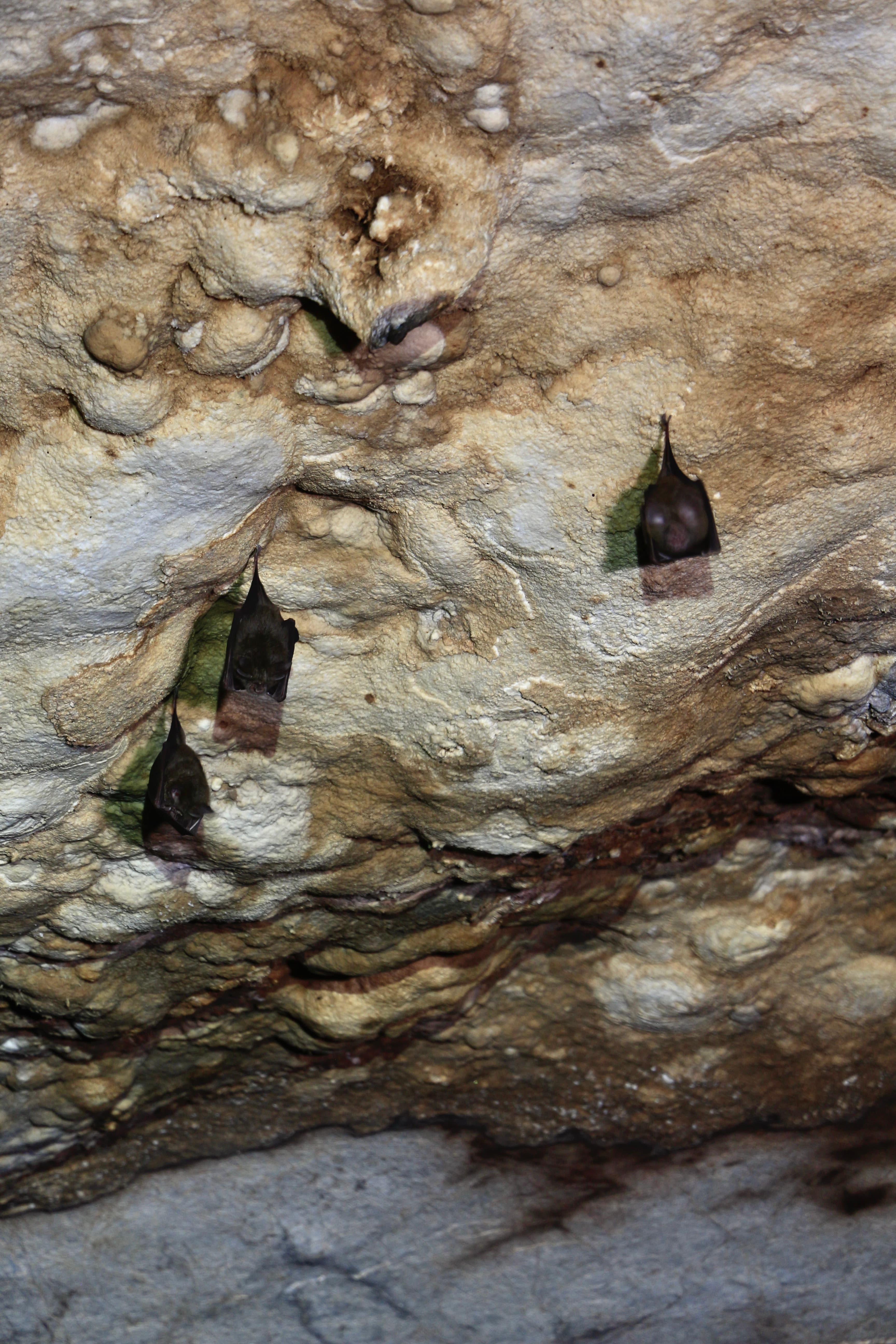 Pang Mapha cave, photo 9