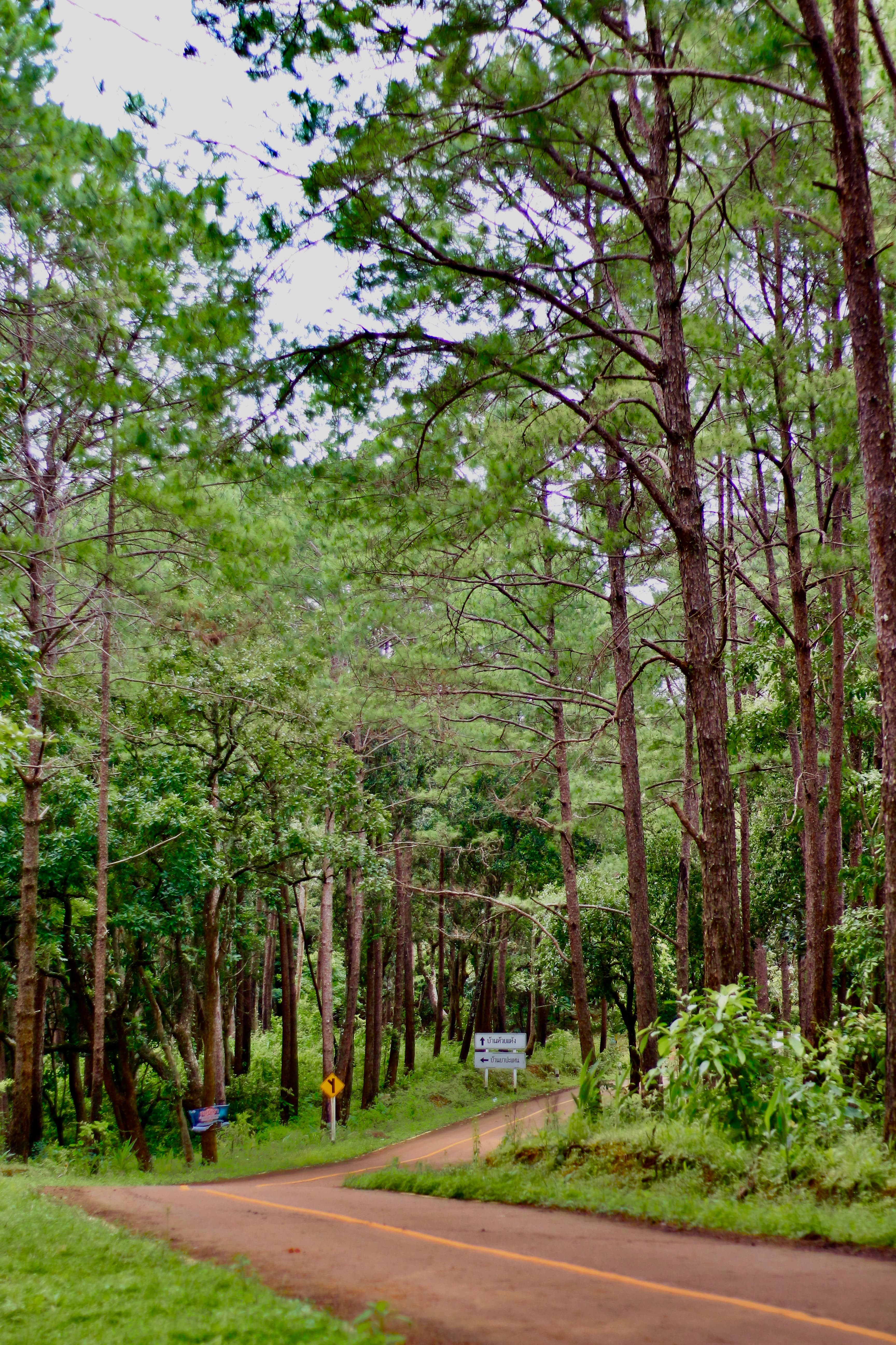 Life on the trail, photo 8