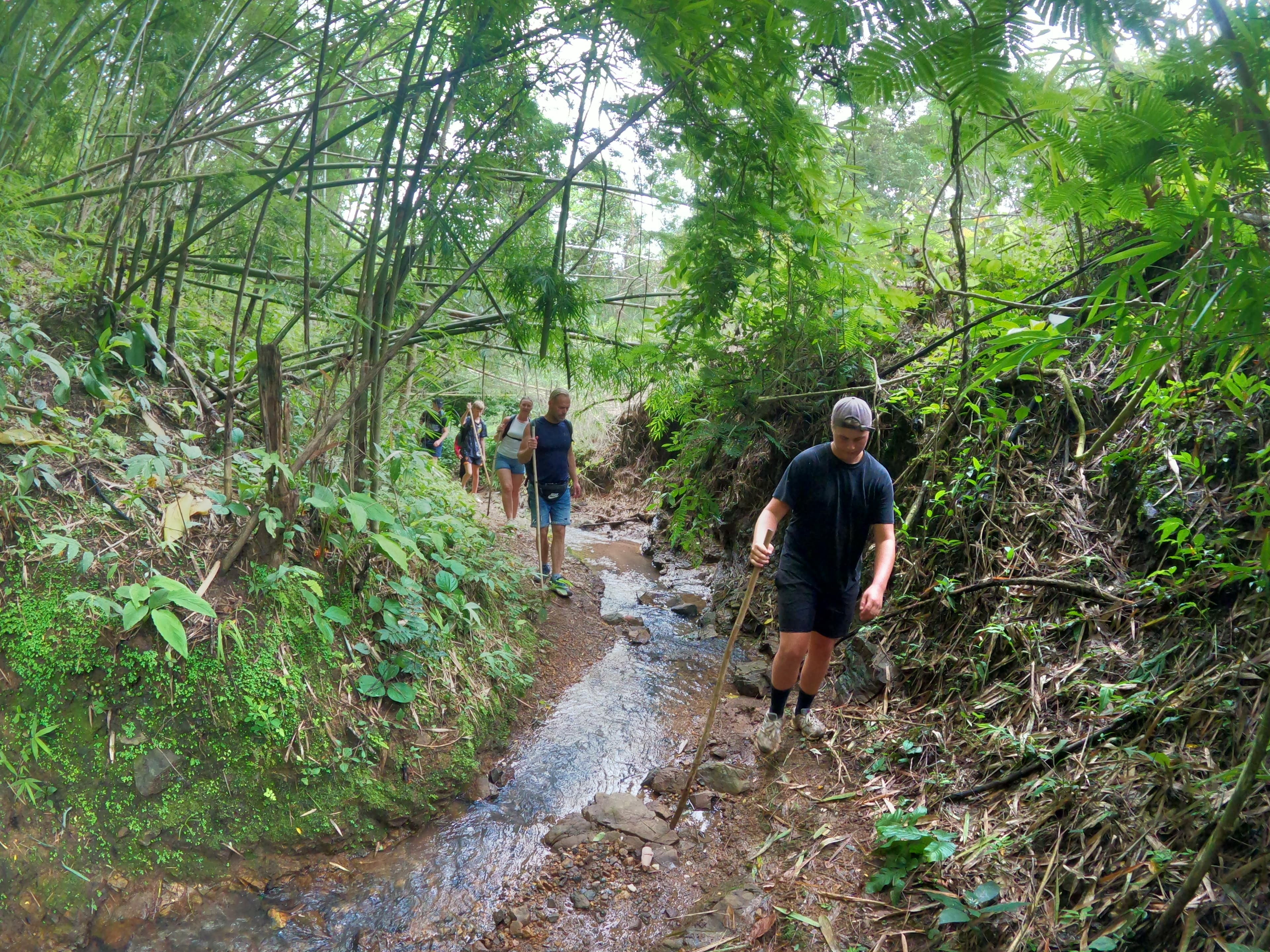Life on the trail, photo 5