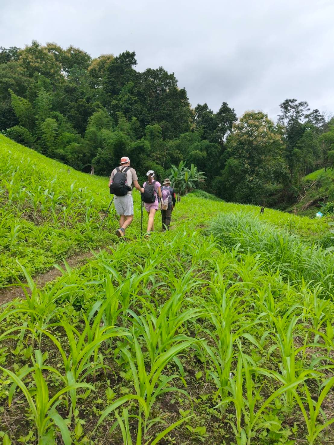 Pang Mapha Trekking Experience